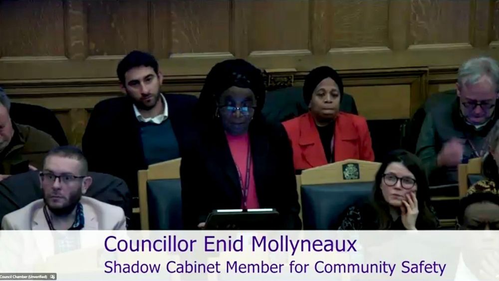 Councillor Enid Mollyneaux, Shadow cabinet member for community safety speaking at the council meeting 