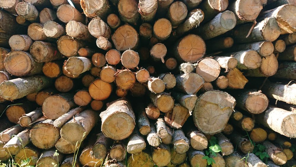 A picture of logs stacked on each other.