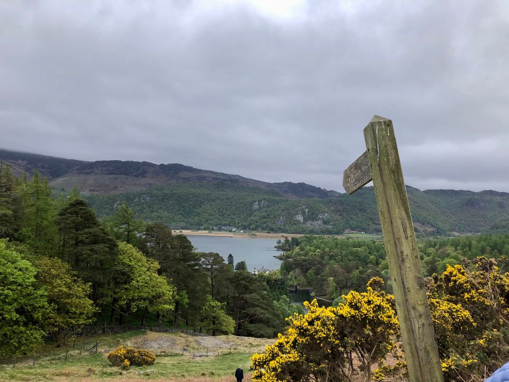 Gorse, shrub, a leaning wooden signpost, and a path leading down to a lake