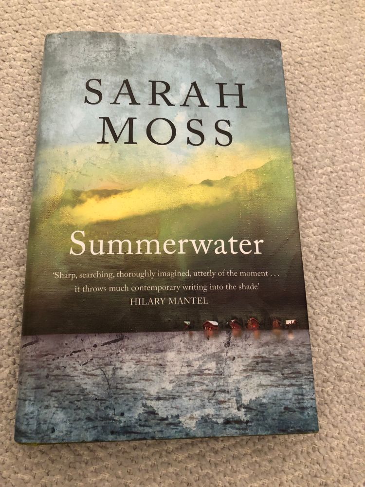 Book cover of Summerwater by Sarah Moss - grey water, mottled green landscape above, with some watery light in the grey clouded sky