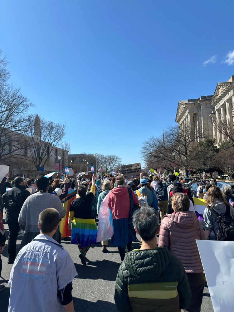 A trans rights protest in DC