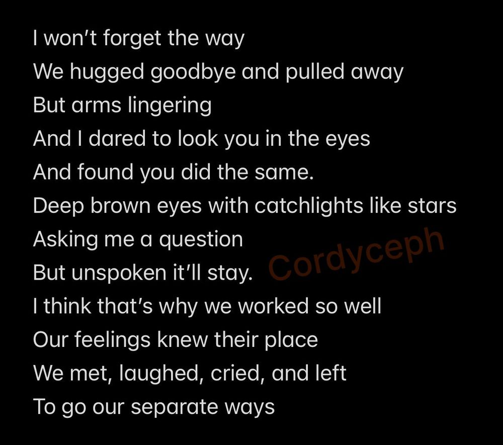 I won’t forget the way
We hugged goodbye and pulled away
But arms lingering
And I dared to look you in the eyes
And found you did the same.
Deep brown eyes with catchlights like stars
Asking me a question
But unspoken it’ll stay.
I think that’s why we worked so well
Our feelings knew their place
We met, laughed, cried, and left
To go our separate ways