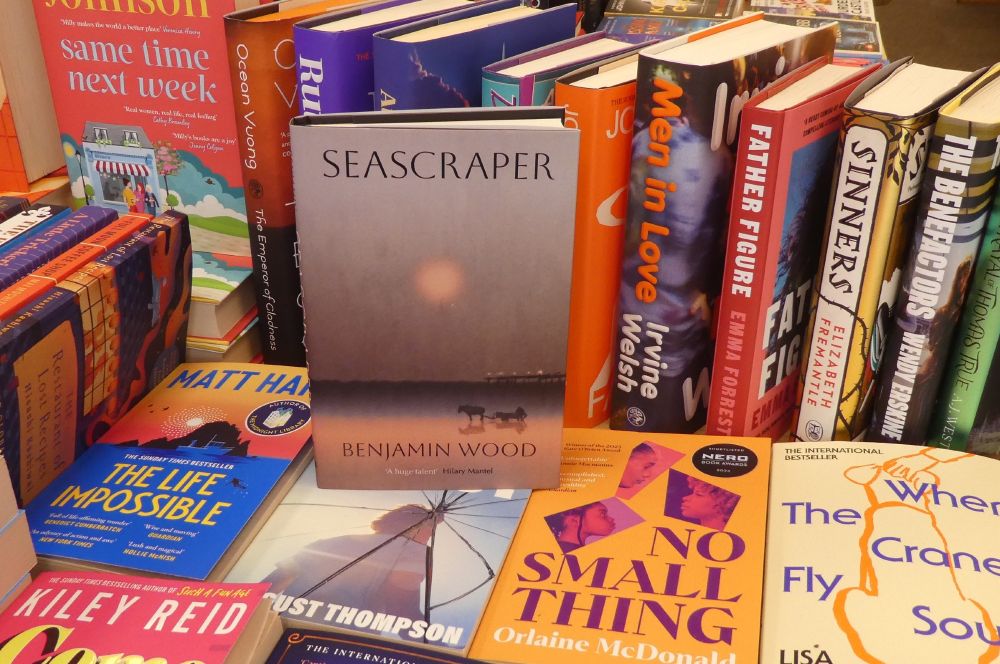 Photo of books, with Seascraper standing up in centre. A bleak and foggy morning with the sun barely coming through the haze, and the siloutte of a working horse and cart as our protaganist works along the beach at low tide, combing for shrimp.
