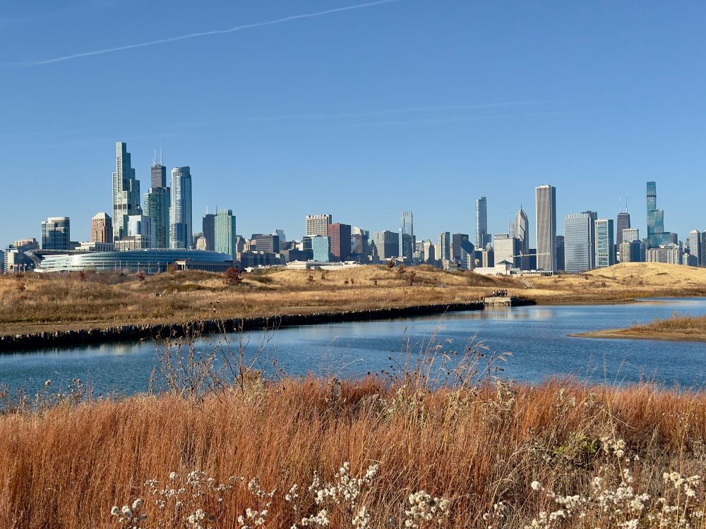 Another angle of the Chicago skyline from Northerly Island. Solider field is prominent on the left, some water, brown prairie grass and wildflowers are in the foreground. 