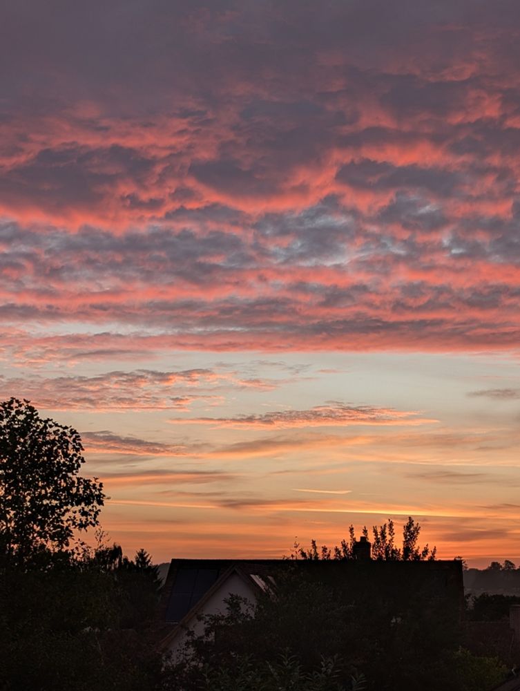 A red sky, this morning.