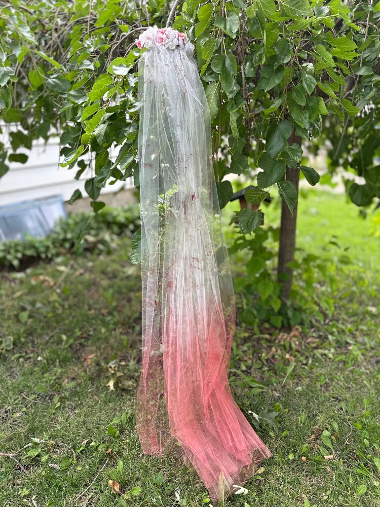 A bloodied veil in a small tree