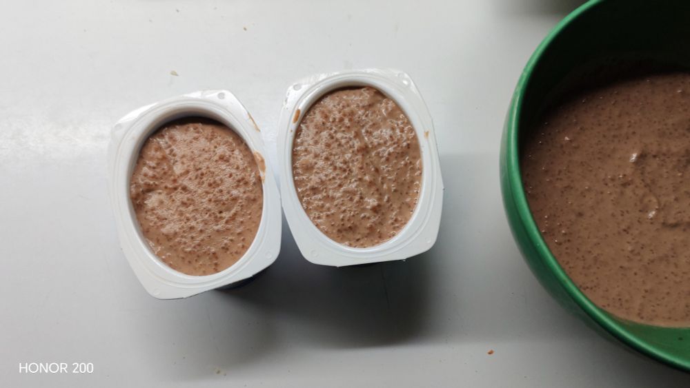 Dessert maison dans ses pots de fromage blanc et un bol parce que les proportions ont dit #NiqueToi

 ingrédients dans le bluesk