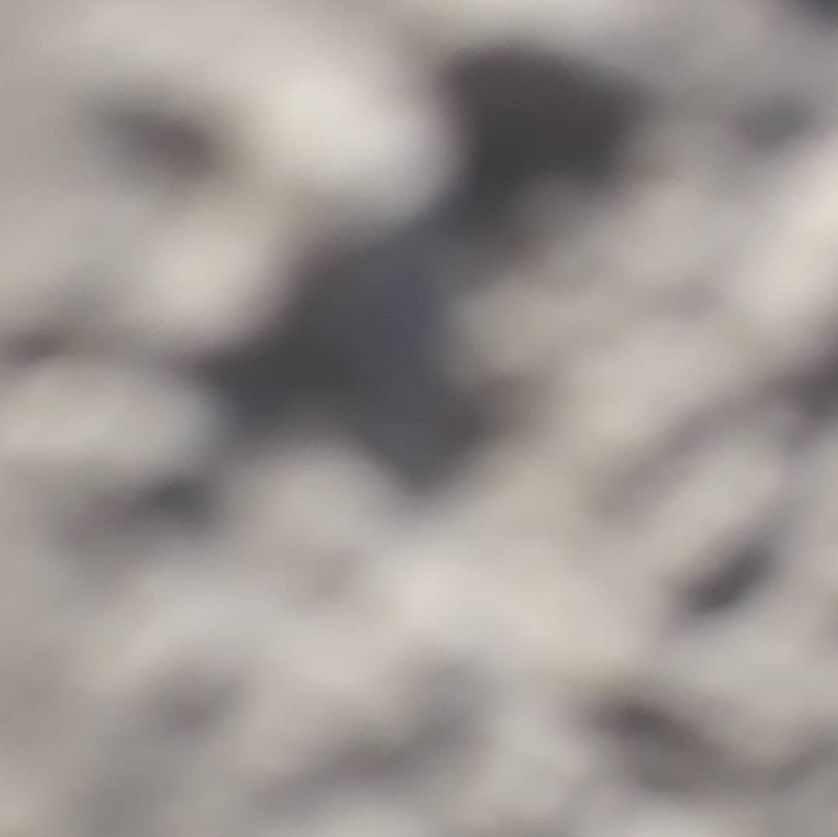Blurry image with indistinct shapes and colors in shades of gray and beige.