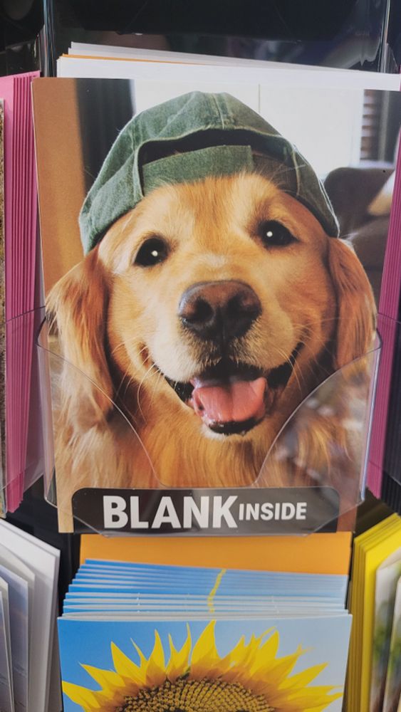 Card of a cute dog smiling while wearing a backwards baseball cap.
Label on the shelf says: "BLANK Inside"