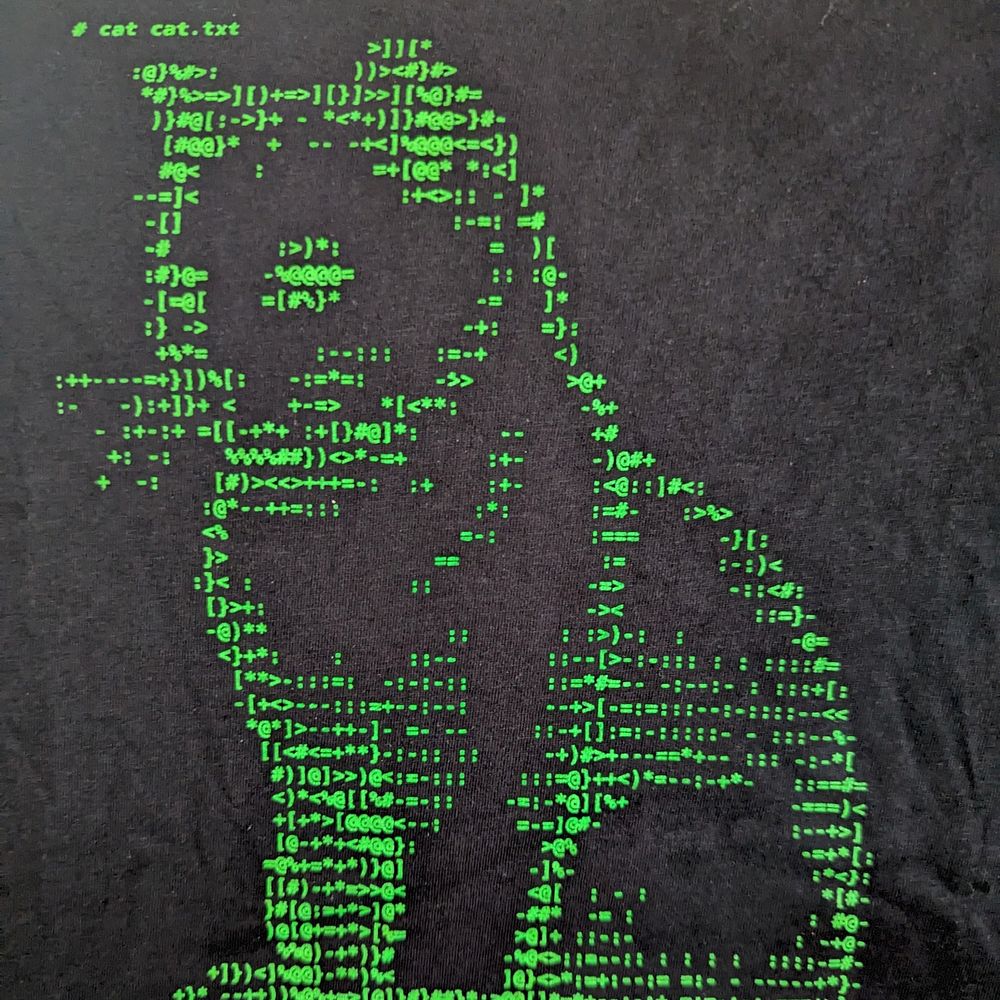 A black t-shirt with small, green ASCII characters similar to an old computer screen. Together the characters create a picture of a cat. Text above it reads "cat cat.txt"