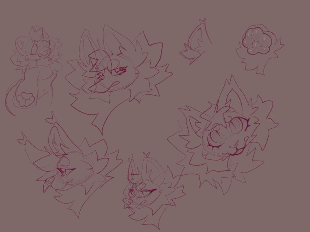 A page of magenta furry headshot sketches with a half body sketch on the left side, as well as an ear and a paw on the right, on a reddish gray background