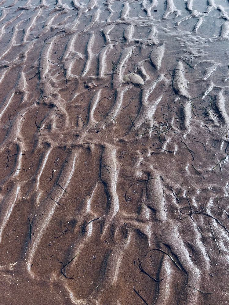 Sable, texture NB Canada
