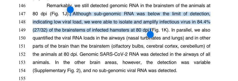 Screenshot highlighting text that says “Although sub-genomic RNA was below the limit of detection, indicating low viral load, we were able to isolate and amplify infectious virus in 84.4% (27/32) of the brainstems of infected hamsters at 80 dpi”