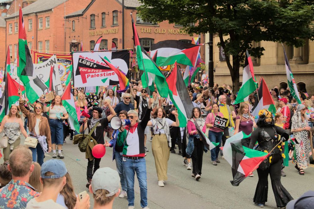 A wider shot of the last scene. More protesters are seen, many again are waving the flag of Palestine.