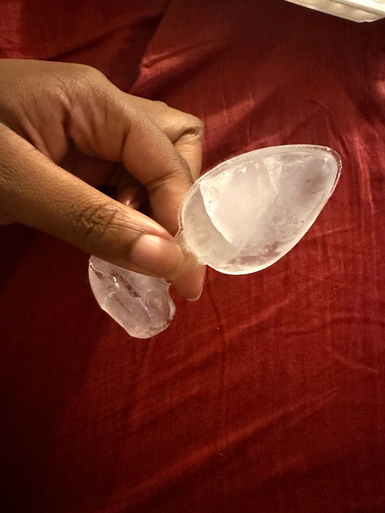 Selena is holding a toy plug shaped ice cube against wine colored bed sheets 
