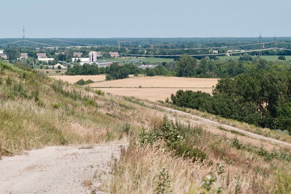 A photo of fields and countryside just outside Berlin.