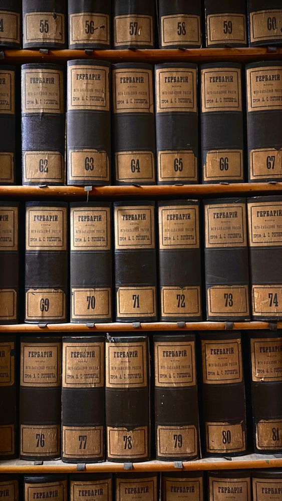 A historical part of the National Herbarium of Ukraine KW (M.G. Kholodny Institute of Botany of NAS of Ukraine, Kyiv). Photo by Heorhii Bondarenko.