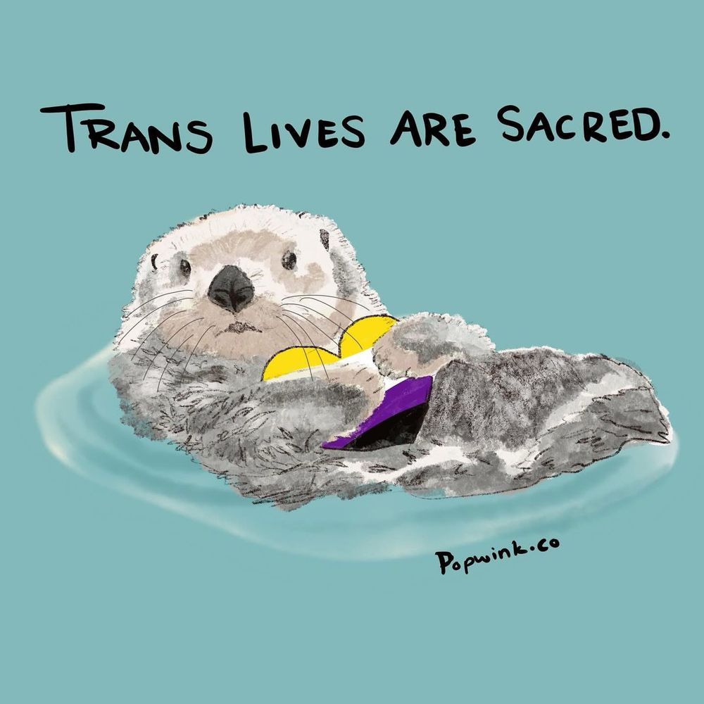 An illustration of an otter floating on its back in turquoise colored water, holing a heart with the nonbinary pride flag stripes on it. Above the otter in black text is a label that reads “Trans lives are sacred.”
