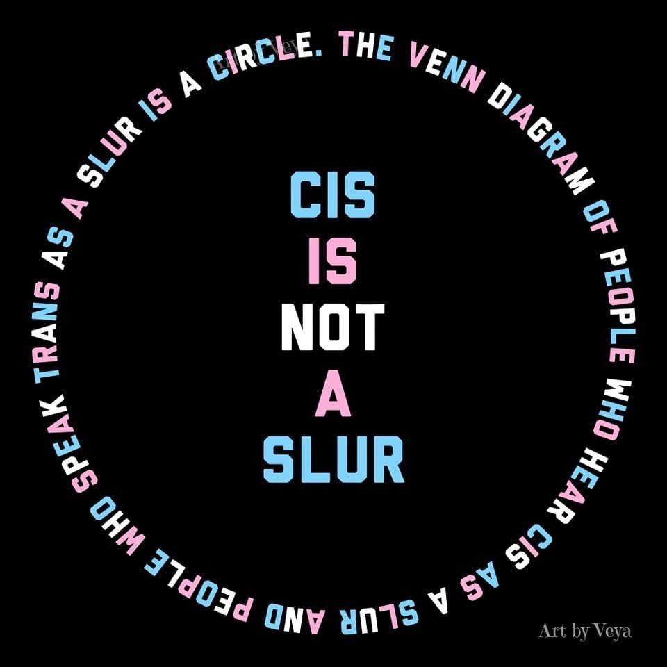 On a black background written in text that is the color of the trans pride flag is text that reads:
“CIS
IS
NOT
A
SLUR”

Written in the same color text in a circle around these words is text that reads:
“THE VENN DIAGRAM OF PEOPLE WHO HEAR CIS AS A SLUR AND PEOPLE WHO SPEAK TRANS AS A SLUR IS A CIRCLE”