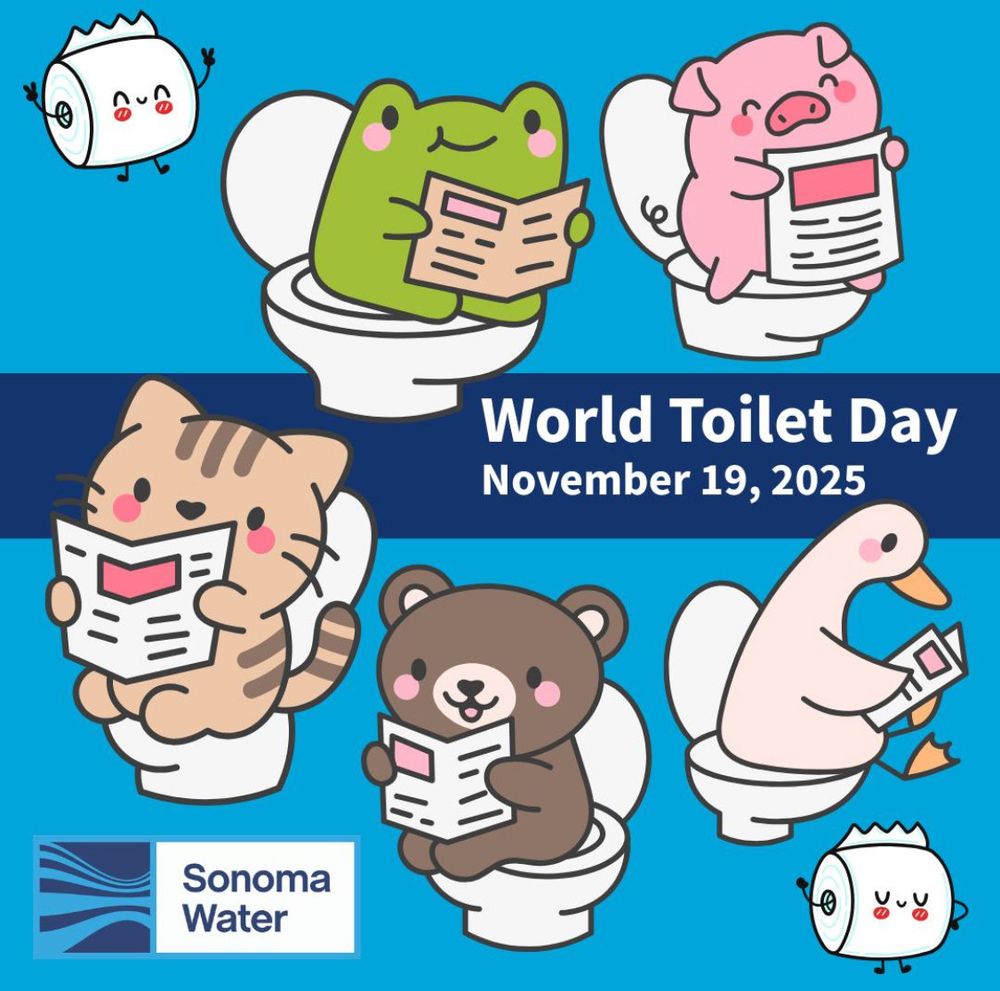 Image with cute cartoon characters advertising November 19 as “World Toilet Day”