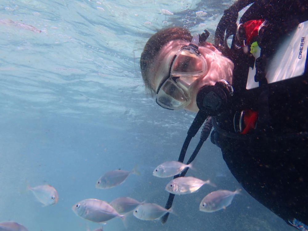 Scuba diver looking at small fish 