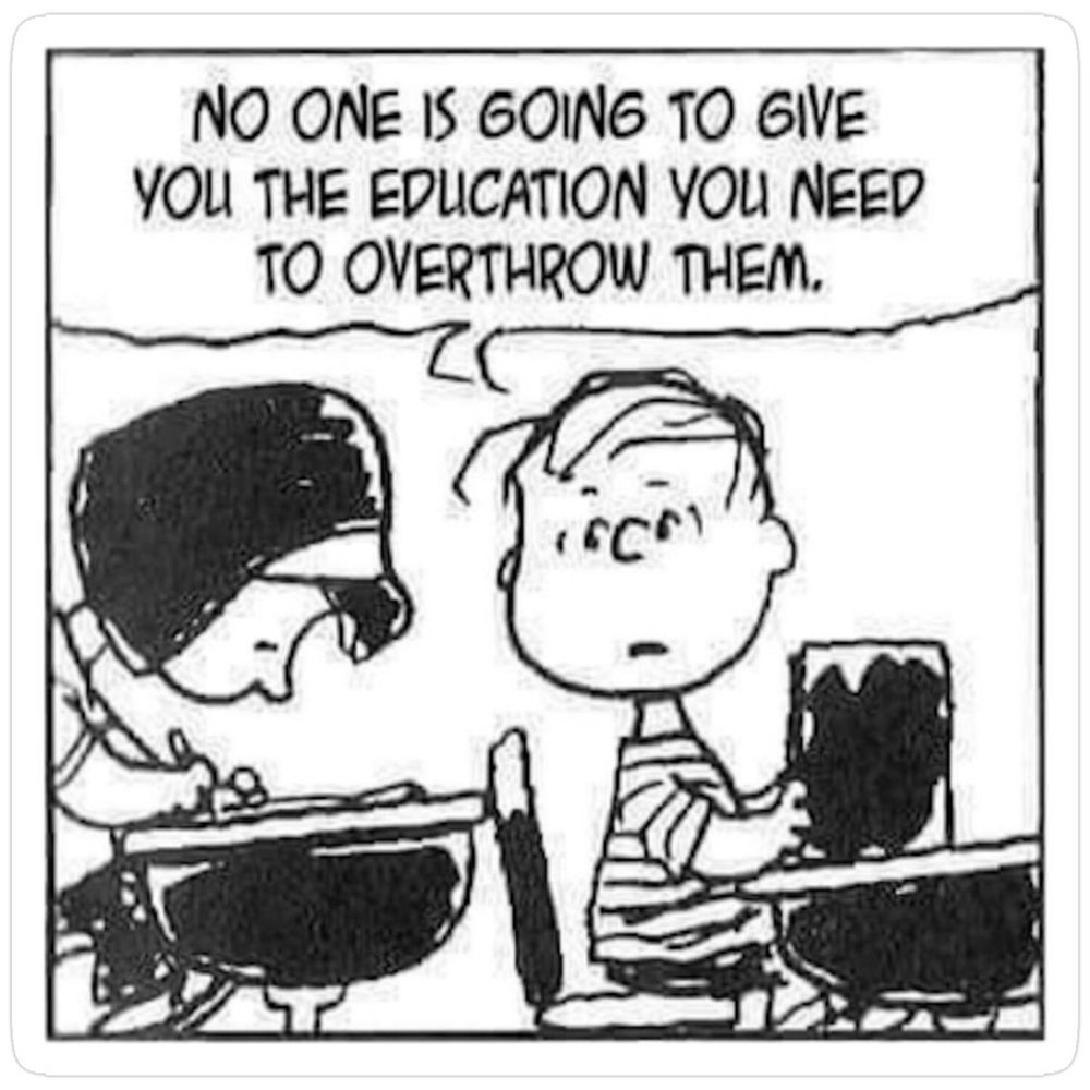 Charlie Brown tells Lucy, "No one is going to give you the education you need to overthrow them."
