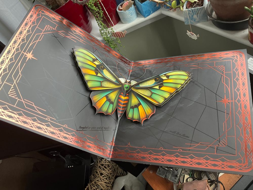 Gatefold sleeve opened up to show pop up colourful moth framed by metallic copper line work (very cool). I’m assuming it’s a moth cos the second verse of the first track has the line “like a moth to a flame”