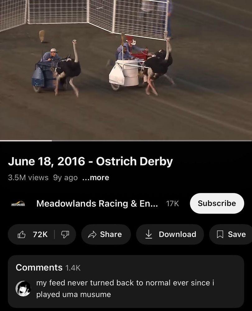 Screenshot of a YouTube recommendation titled "June 18, 2016 - Ostrich Derby" with a comment at the bottom that says "my feed never turned back to normal ever since I played uma musume"