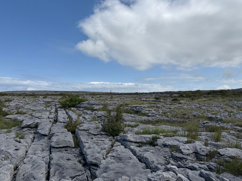 Karst landscape. Big flat limestone broken up with deep channels. Scraggy plants. Blue sky to the left, clouds to the right. 