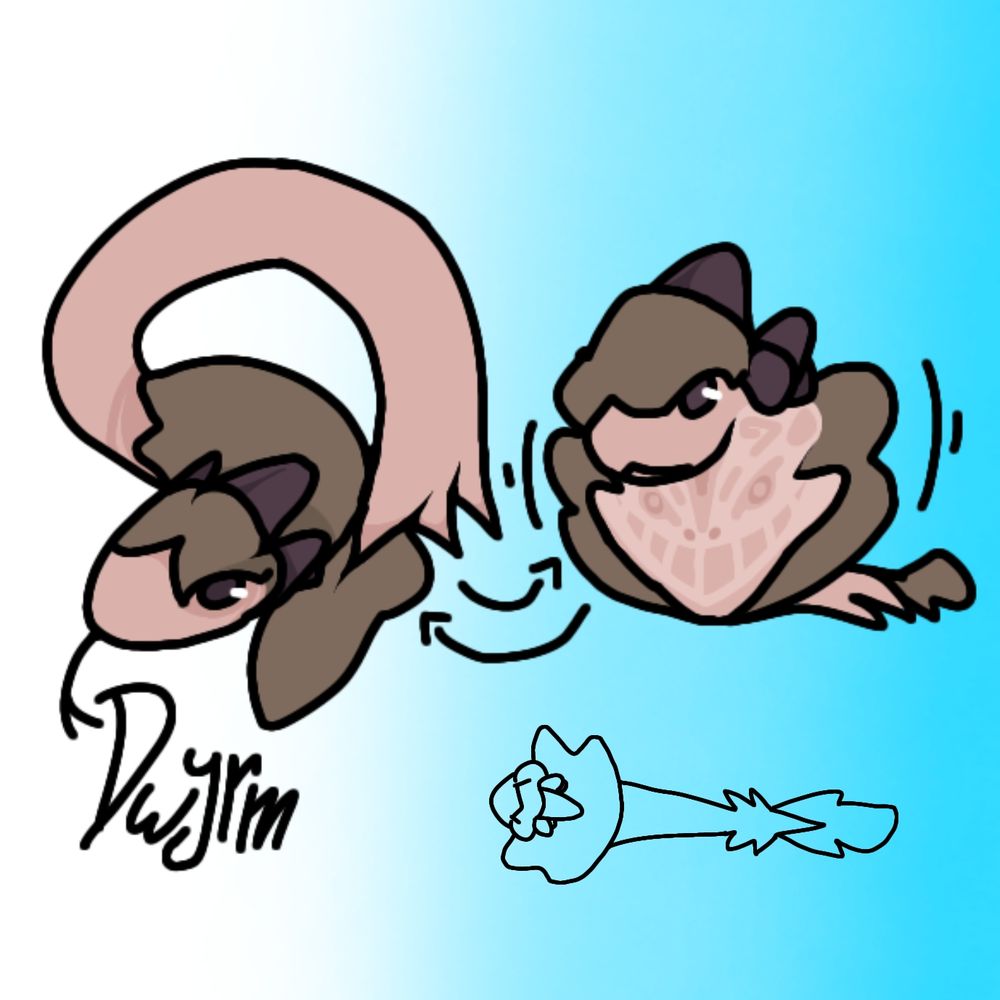 Dwyrm

The Duntra snake that has a false body. Which fools predators, thinking they'll land a fatal hit which is secretly just the tail.
They have a tribal-like pattern on their bottom. Which seemed to be used either attract mate or defend themselves