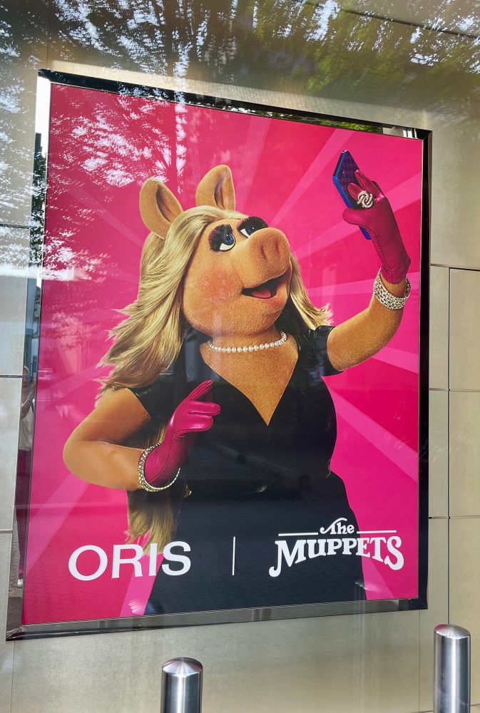 Miss Piggy macht ein Selfie