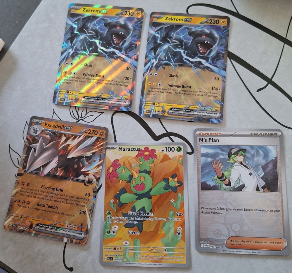 5 pokemon cards laid out, including 2 Zekrom EXs, Excadrill EX, borderless Maractus, and foil N's Plan