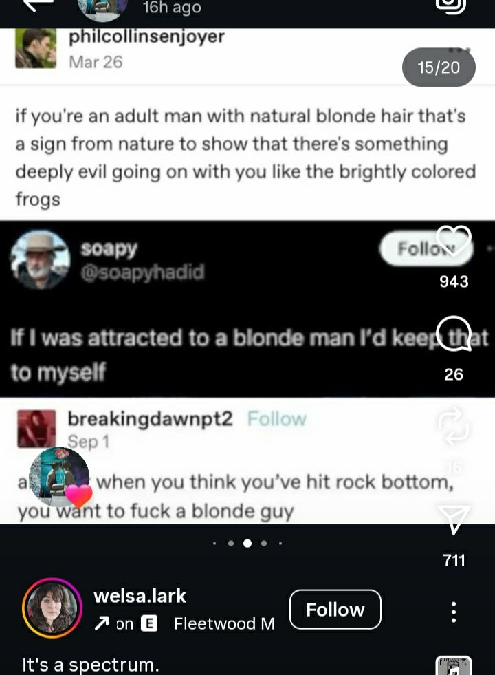 "If you're an adult man with natural blonde hair that's a sign from nature to show there is something deeply evil going on with you like the brightly colored frogs"
"If I was attracted to a blonde man I'd neep that to myself"
---"when you think you've hit rock bottom, you want to fuck a blonde guy"

it's a spectrum 