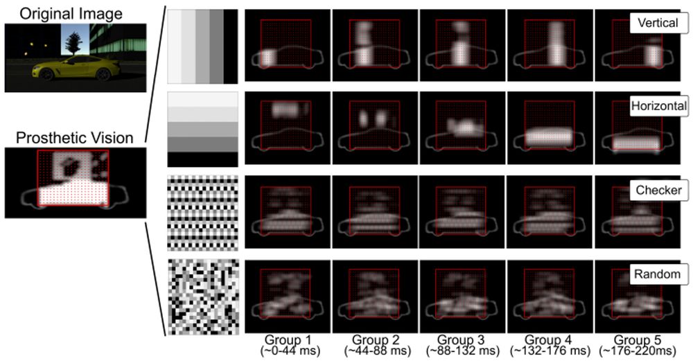 Raster patterns in simulated prosthetic vision. On the left, a natural scene of a yellow car is shown, followed by its transformation into a prosthetic vision simulation using a 10×10 grid of electrodes (red dots). Below this, a zoomed-in example shows the resulting phosphene pattern. To comply with safety constraints, electrodes are divided into five spatial groups activated sequentially across ~220 milliseconds. Each row represents a different raster pattern: vertical (columns activated left to right), horizontal (rows top to bottom), checkerboard (spatially maximized separation), and random (reshuffled every five frames). For each pattern, five panels show how the scene is progressively built across the five raster groups. Vertical and horizontal patterns show strong directional streaking. Checkerboard shows more uniform activation and perceptual clarity. Random appears spatially noisy and inconsistent.