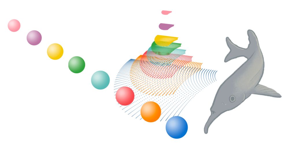 An object detected at different distances (blue closest, pink farthest) by the electric fields of a weakly electric fish. 
