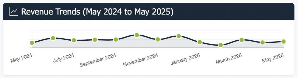 Line chart: Revenue trends May 2024-May 2025. Peak in November 2024, lowest point March 2025. Shows moderate fluctuations over the period.