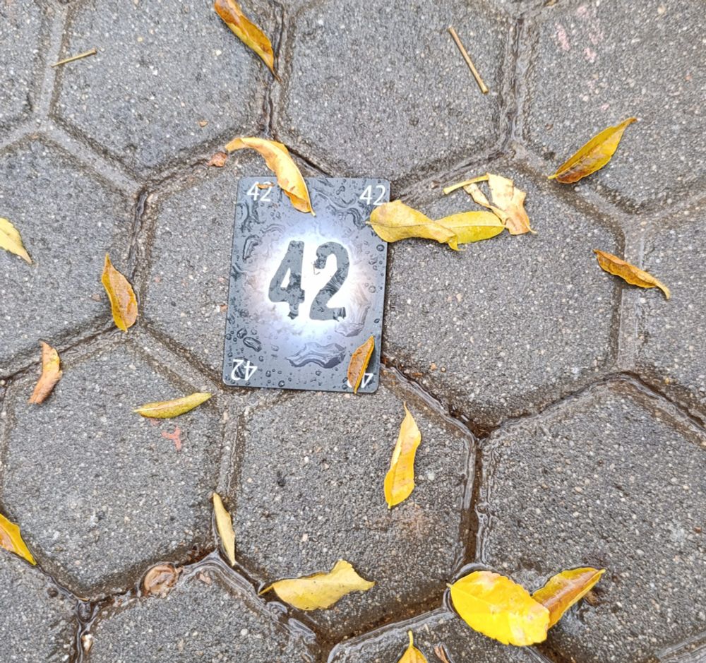 Una carta mojada con un número 42,en el suelo rodeada de hojas caídas empapadas 