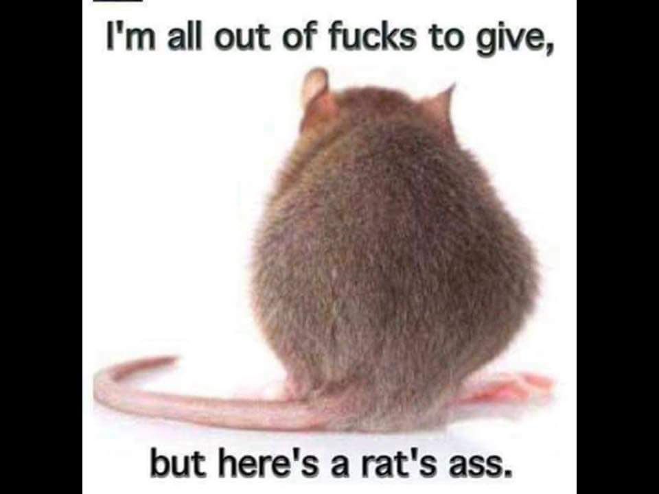 Comment image
