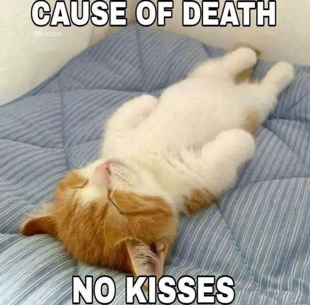 a car laying on its back with its eyes clothes 

captioned 

CAUSE OF DEATH
NO KISSES