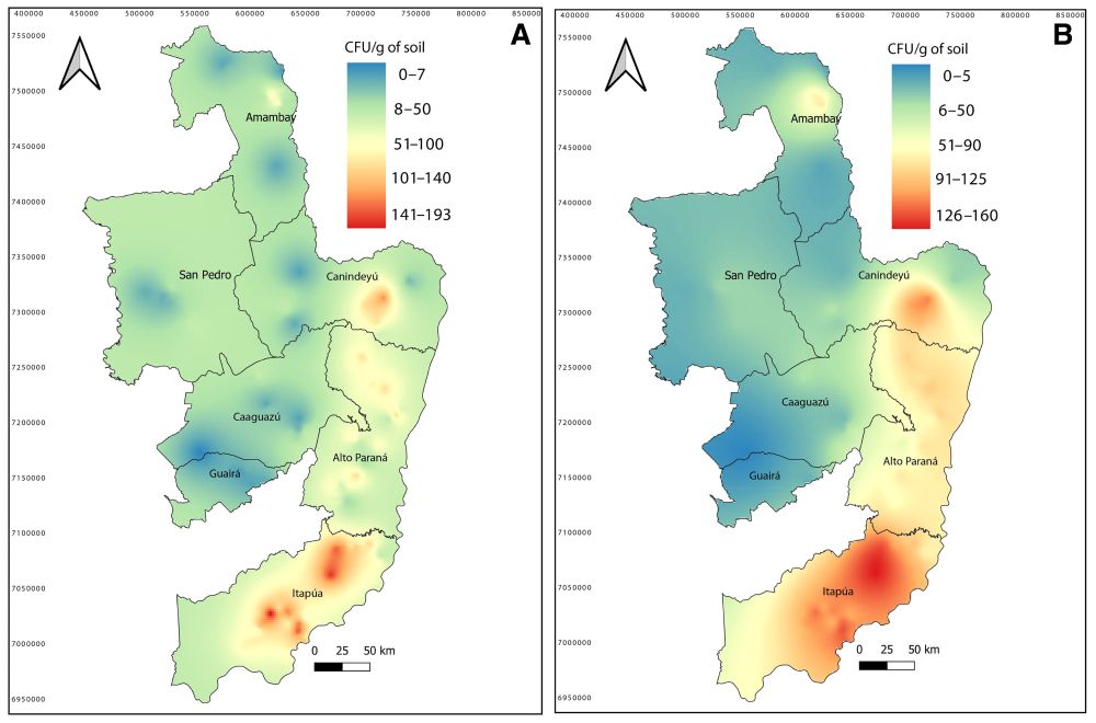 Interpolated maps of colony-forming unit (CFU) abundance of Macrophomina phaseolina (Mp) using A, ordinary kriging and B, co-kriging, respectively. Both interpolated surfaces were generated from the observed 297 sampling locations across seven departments of the country (see Figure 1 for more details). The gradient color from red to blue depicts high to low abundance of Mp.