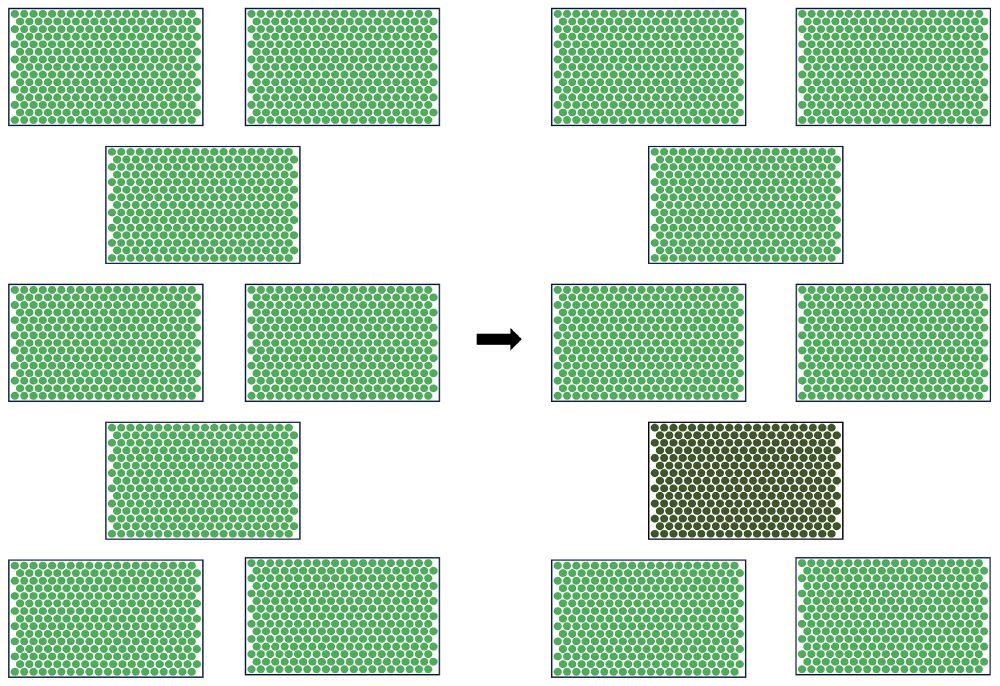 Fig. 2.
Introducing quantitative phenotypic variation among replicate blocks. Here, one replicate is picked randomly out of the dataset, and the numerical phenotype data are multiplied by a constant (where the manipulated replicate is represented as dark green).