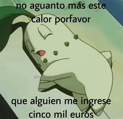 Meme de Chikorita que no aguanta más el calor y pide 5000 €