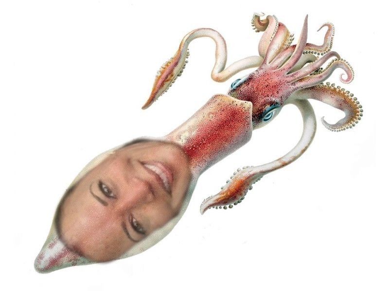 this is kamala harris but as a calamar. so. kalamar harris. the image is poorly edited. i am trying my best.