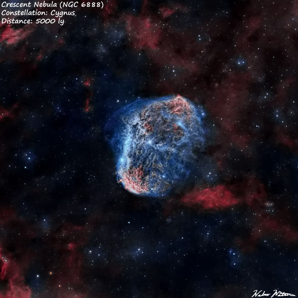 Crescent Nebula (NGC 6888) in the constellation Cygnus. The interaction of multiple stellar ejections by the central star give the nebula it's shape.Taken 2 nights ago when the stormy Cape Cod skies cleared for a bit with my newly larger aperture upgraded telescope. 


Set up:
Telescope: SVBony SV503 102ed
Camera: ASI533mc pro
Mount: ZWO AM5 mount
Filter: ZWO Duo Band (Ha/Oiii)
Controller: Mini PC running NINA and PHd2 acquisition and guiding software.

Rendered using HOO palette