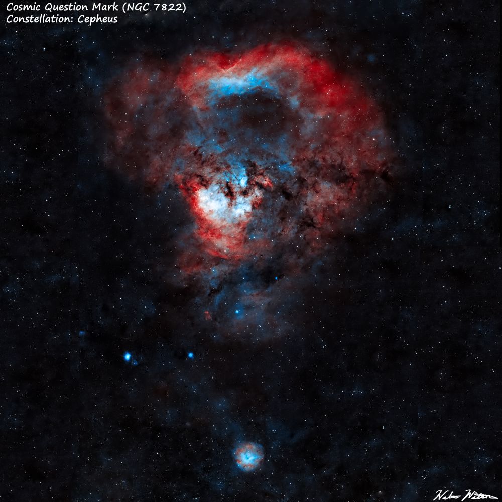 The Cosmic Question Mark is comprised of a large emission nebula NGC 7822 and the small "Dot" is the Little Rosette Nebula (SH2-170).  This photo is rendered so the ionized emissions of hydrogen are red and oxygen are blue. Taken earlier this week (07/07/25).

Equipment:
Telescope: SVBony SV555
Camera: ZWO ASI2600 mc pro
Mount: ZWO AM3
Controller: Mini PC running NINA, Phd2, Stellarium
Filters: ASKAR Colormagic C1 duo band Ha/Oiii

Processed in SIRIL, Graxpert, and Affintiy Photo 2.