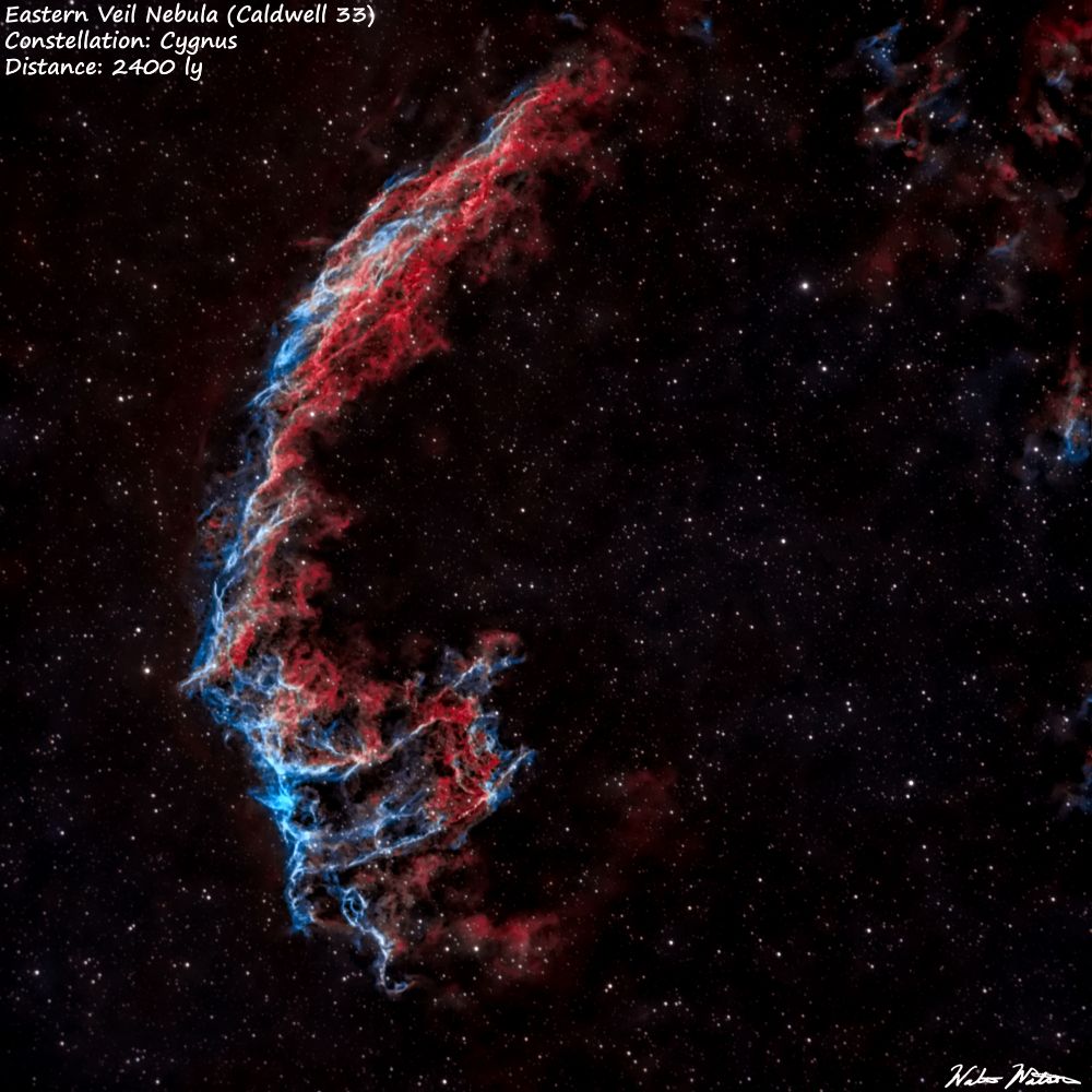 The Eastern Veil (Caldwell 33) is a stunning region of the Cygnus Loop supernova remnant. At ~ 2400 ly distant it is an amazingly eerie object to photograph. This is a narrow band photo where the ionized emissions of hydrogen are red and oxygen are blue.

Equipment:
Telescope: SVBony SV503 80ed refractor
Camera: ZWO ASI533mc pro
Mount: ZWO AM5
FIlters: ASKAR Colormagic C1 Ha/Oiii duo band
Camera Temp: -12C
Processed in SIRIL, Graxpert and Photoshop
