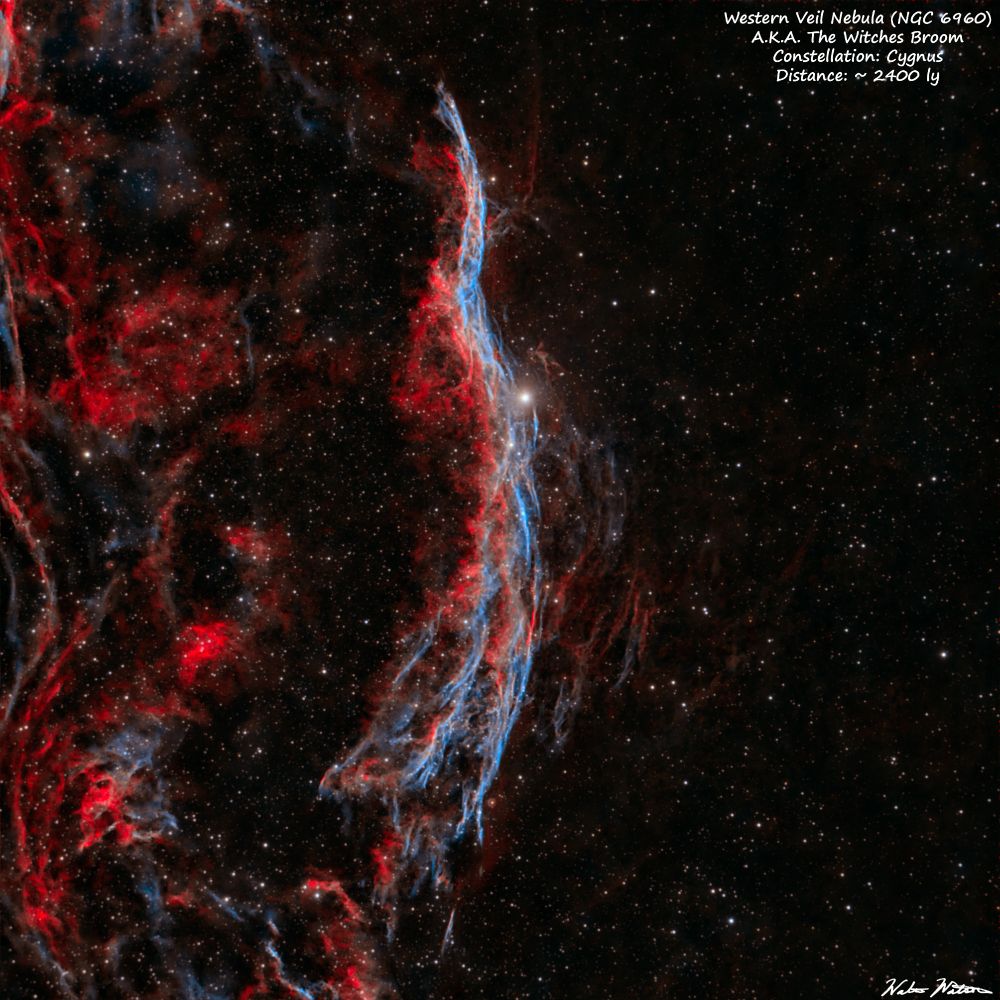 he Western Veil  (NGC 6960) A.K.A the Witch's Broom Nebula.  This is one of the distinct regions of the Cygnus Loop supernova remnant acquired on a rare clear early morning this June. In this duo narrow band image the emissions of hydrogen are red and oxygen are blue.

Equipment:
Telescope: SVBony SV503 80ed refractor
Camera: ZWO ASI533mc pro
Mount: ZWO AM5
FIlters: ASKAR Colormagic C1 Ha/Oiii duo band 
Camera Temp: -12C
Processed in  SIRIL, Graxpert and Photoshop