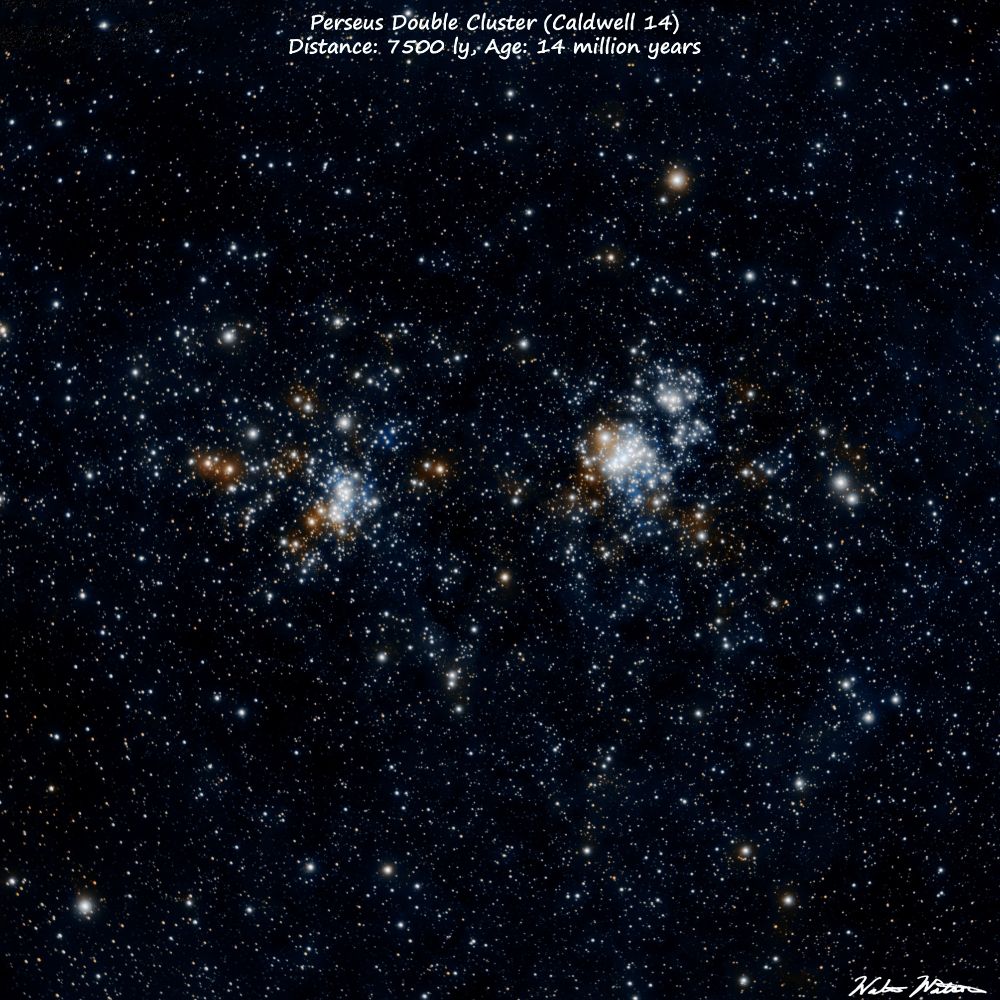 The Double Cluster (Caldwell 14) are bright open star clusters close together in the constellation Perseus. They are about 7500 ly from earth. Acquired with spectral wide band filter.

Equipment:
Telescope: SVBony SV503 80ed
Camera: ZWO ASI533 mc pro
Mount: ZWO AM5
Controller: Mini PC running NINA, PHD2
Filter: UV/IR cut

Processed with SIRIL, Graxpert, Affinity Photo 2