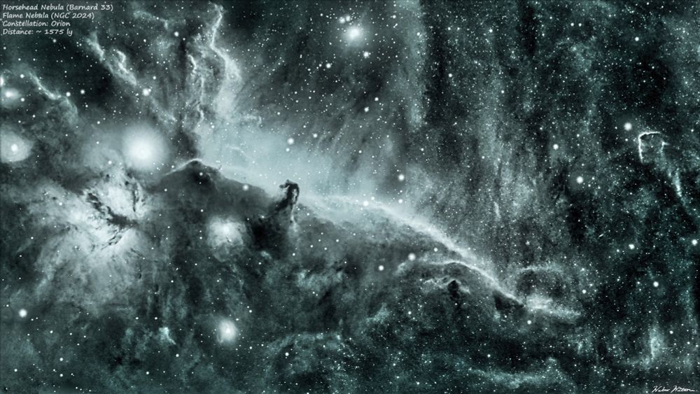 High contrast gray scale image of  the Horsehead (Barnard 33) and Flame (NGC 2024) nebulae.

Equipment:
Telescope: SVBony SV503 80ed
Camera: ZWO ASI533 mc pro
Mount: ZWO AM5
FIlters: ASKAR Ha/Oiii duo band filter
Settings:
Total exposure: 1 hour and 6 minutes
Camera frame exposure: 3 minutes
Camera Temp: -12C
2 panel mosaic
Processed in SIRIL and Photoshop
Skies: Bortle 4