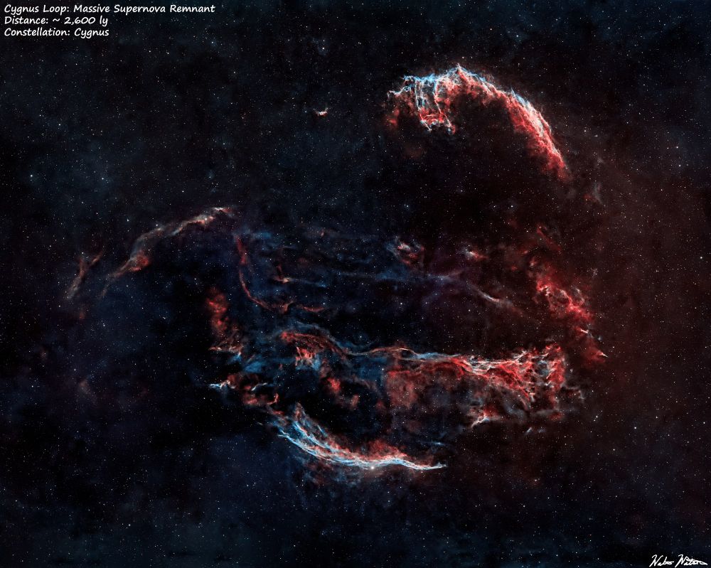The Cygnus Loop (SH-103) is a very large supernova remnant over 120 light years in diameter (3 deg across the sky) and is expanding at over half a million mph. This is a multi-spectral narrow band photograph where Hydrogen are reds, and Oxygen are blues

Taken 06/11/2025

Equipment:
Telescope: SVBony SV555
Camera: ZWO ASI2600mc pro
Mount: ZWO AM3
FIlters: ASKAR Colormagic Ha/Oiii duo band
Camera Temp: -12C
Processed in SIRIL, Graxpert and Photoshop
